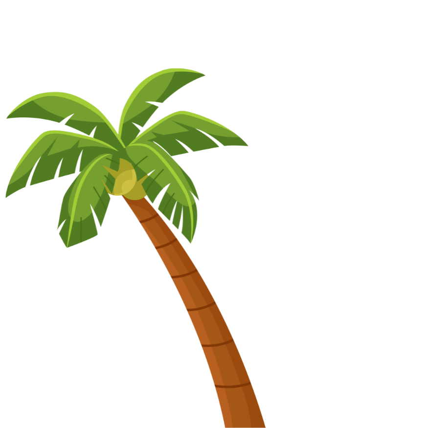 Palm Tree