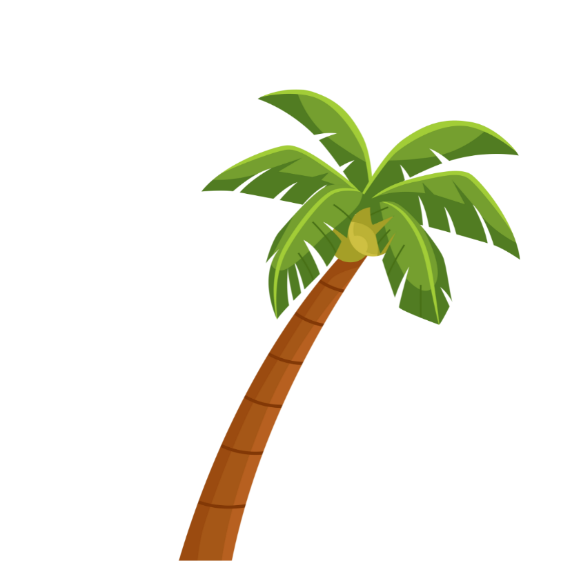 Palm Tree